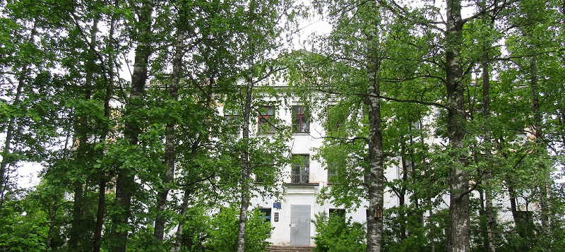 школа школа
